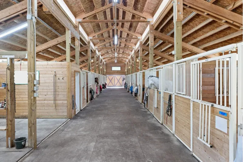 Barn aisle with a timber truss roof and a concrete floor, lined on both sides by stalls with white grilles.